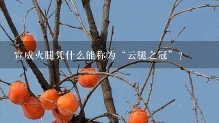 宣威火腿凭什么能称为“云腿之冠”? 宣威火腿凭什么能称为“云腿之冠”?