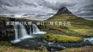求昆明,大理,丽江三地美食小吃 求昆明,大理,丽江三地美食小吃