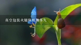 真空包装火腿保质期多久 真空包装火腿保质期多久