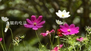 火腿的吃法 火腿的吃法