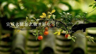 宣威火腿怎么做才好吃 宣威火腿怎么做才好吃