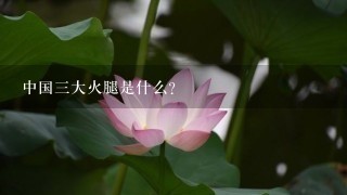 中国三大火腿是什么? 中国三大火腿是什么?