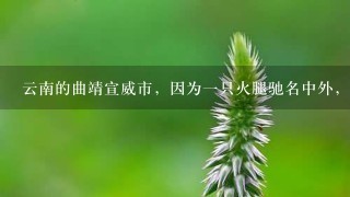 云南的曲靖宣威市,因为一只火腿驰名中外,这到底是怎么一回事? 云南的曲靖宣威市,因为一只火腿驰名中外,这到底是怎么一回事?