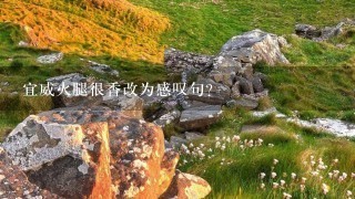 宜威火腿很香改为感叹句? 宜威火腿很香改为感叹句?