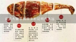 宣威火腿节杨柳乡距昆明有多远 宣威火腿节杨柳乡距昆明有多远