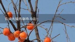 宣威火腿的制作方法? 宣威火腿的制作方法?