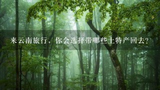 来云南旅行,你会选择带哪些土特产回去? 来云南旅行,你会选择带哪些土特产回去?