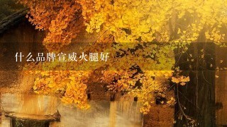 什么品牌宣威火腿好