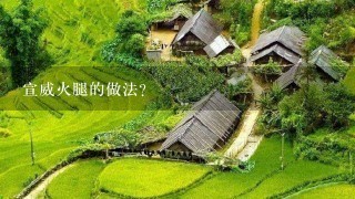 宣威火腿的做法? 宣威火腿的做法?