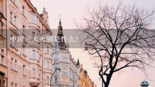 中国三大火腿是什么? 中国三大火腿是什么?