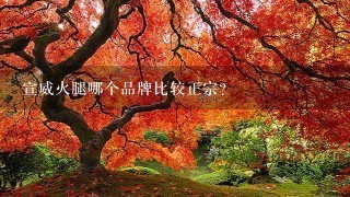 宣威火腿哪个品牌比较正宗? 宣威火腿哪个品牌比较正宗?