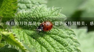 现在的月饼都是小小的,盒子又特别精美,感觉盒子比月饼还贵,有没有大月饼,建议包装,经济实惠的?大家 现在的月饼都是小小的,盒子又特别精美,感觉盒子比月饼还贵,有没有大月饼,建议包装,经济实惠的?大家
