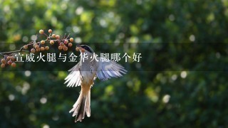 宣威火腿与金华火腿哪个好 宣威火腿与金华火腿哪个好