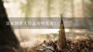 宣威到重庆沿途有啥美食? 宣威到重庆沿途有啥美食?