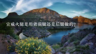 宣威火腿是用猪前腿还是后腿做的? 宣威火腿是用猪前腿还是后腿做的?