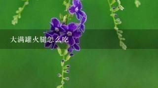 大满罐火腿怎么吃 大满罐火腿怎么吃