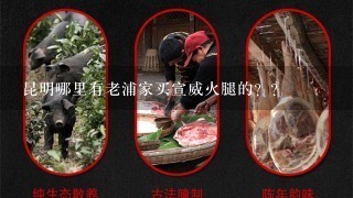 昆明哪里有老浦家买宣威火腿的?? 昆明哪里有老浦家买宣威火腿的??