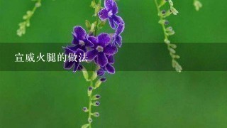 宣威火腿的做法 宣威火腿的做法