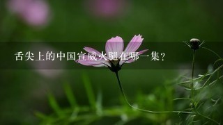 舌尖上的中国宣威火腿在哪一集? 舌尖上的中国宣威火腿在哪一集?