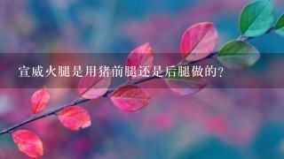 宣威火腿是用猪前腿还是后腿做的? 宣威火腿是用猪前腿还是后腿做的?