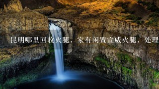 昆明哪里回收火腿,家有闲置宣威火腿,处理3-4只 昆明哪里回收火腿,家有闲置宣威火腿,处理3-4只