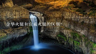 金华火腿和宣威火腿的区别？