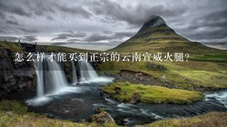 怎么样才能买到正宗的云南宣威火腿? 怎么样才能买到正宗的云南宣威火腿?