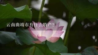 云南曲靖市有什么特产? 云南曲靖市有什么特产?