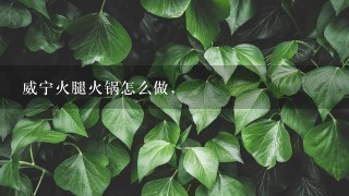 威宁火腿火锅怎么做, 威宁火腿火锅怎么做,