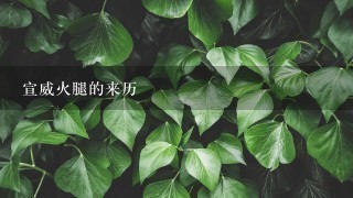 宣威火腿的来历 宣威火腿的来历