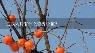 宣威火腿有什么营养价值? 宣威火腿有什么营养价值?