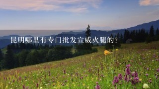 昆明哪里有专门批发宣威火腿的? 昆明哪里有专门批发宣威火腿的?