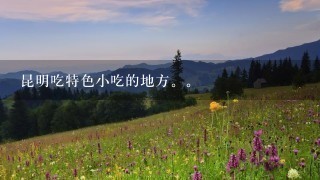 昆明吃特色小吃的地方。 昆明吃特色小吃的地方。