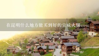 在昆明什么地方能买到好的宣威火腿. 在昆明什么地方能买到好的宣威火腿.