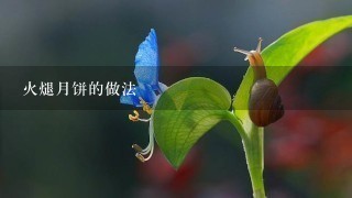 火煺月饼的做法 火煺月饼的做法