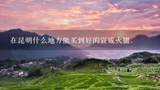 在昆明什么地方能买到好的宣威火腿. 在昆明什么地方能买到好的宣威火腿.