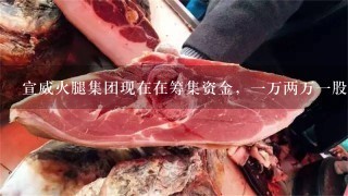 宣威火腿集团现在在筹集资金,一万两万一股,买两万有<br/>1、6万的期权股,然后有2万商城购物,然后公司打 宣威火腿集团现在在筹集资金,一万两万一股,买两万有<br/>1、6万的期权股,然后有2万商城购物,然后公司打