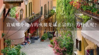 宣威哪个地方的火腿是最正宗的?为什么呢? 宣威哪个地方的火腿是最正宗的?为什么呢?