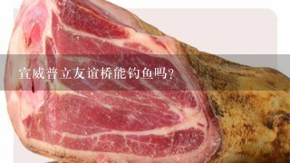 宣威普立友谊桥能钓鱼吗? 宣威普立友谊桥能钓鱼吗?
