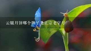 云腿月饼哪个牌子是正宗老字号 云腿月饼哪个牌子是正宗老字号