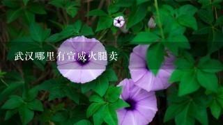 武汉哪里有宣威火腿卖 武汉哪里有宣威火腿卖