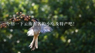 介绍一下云南有名的小吃及特产吧! 介绍一下云南有名的小吃及特产吧!