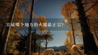 宣威哪个地方的火腿最正宗? 宣威哪个地方的火腿最正宗?