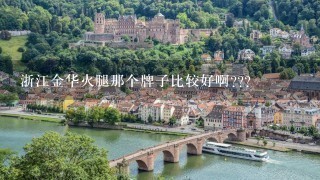 浙江金华火腿那个牌子比较好啊??? 浙江金华火腿那个牌子比较好啊???