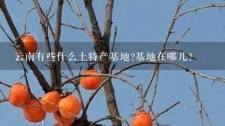 云南有些什么土特产基地?基地在哪儿? 云南有些什么土特产基地?基地在哪儿?