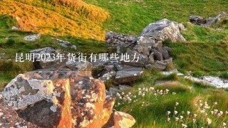 昆明2023年货街有哪些地方 昆明2023年货街有哪些地方