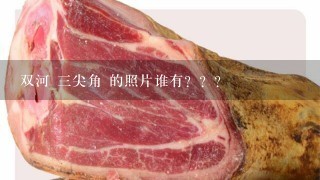 双河 三尖角 的照片谁有??? 双河 三尖角 的照片谁有???
