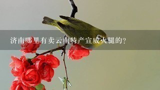 济南哪里有卖云南特产宣威火腿的? 济南哪里有卖云南特产宣威火腿的?