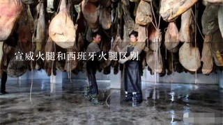宣威火腿和西班牙火腿区别 宣威火腿和西班牙火腿区别