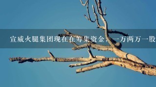 宣威火腿集团现在在筹集资金,一万两万一股,买两万有<br/>1、6万的期权股,然后有2万商城购物,然后公司打 宣威火腿集团现在在筹集资金,一万两万一股,买两万有<br/>1、6万的期权股,然后有2万商城购物,然后公司打